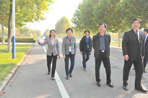 专家实地考察校园 专家实地考察校园