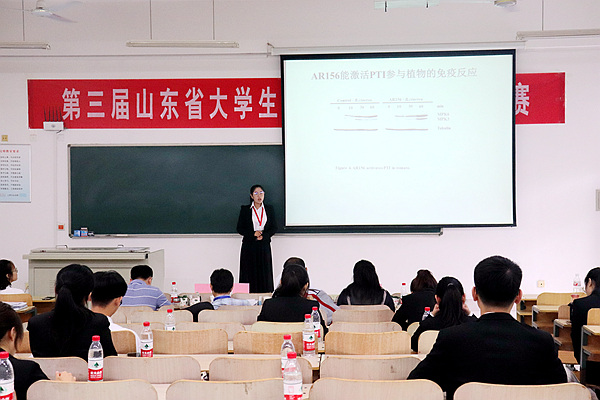 创新创业项目汇报答辩 创新创业项目汇报答辩