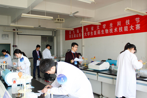 比赛现场 比赛现场