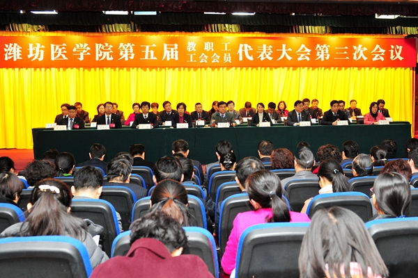 第二次全体会议现场 第二次全体会议现场